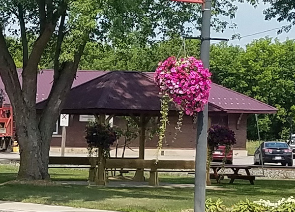 Owen Blooms for You - Hanging Flower Basket Project 2020 Owen Blooms for You - Hanging Flower Basket Project 2020