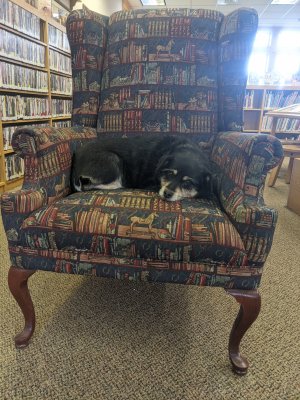 City of Owen Library City of Owen Library